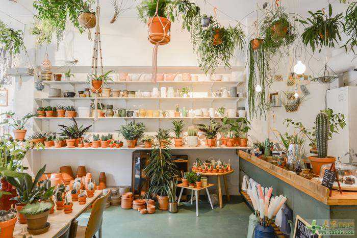花店应该如何设计与装修? 花店应该如何设计与装修?